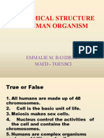 Anatomical Structure of Human Organism