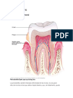 PERIODONTITIS