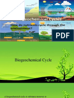 Biogeochemical - Report - PPTX Filename - UTF-8''biogeochemical Report-1
