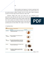 Refrat - Melanoma, Merkel Cell Ca