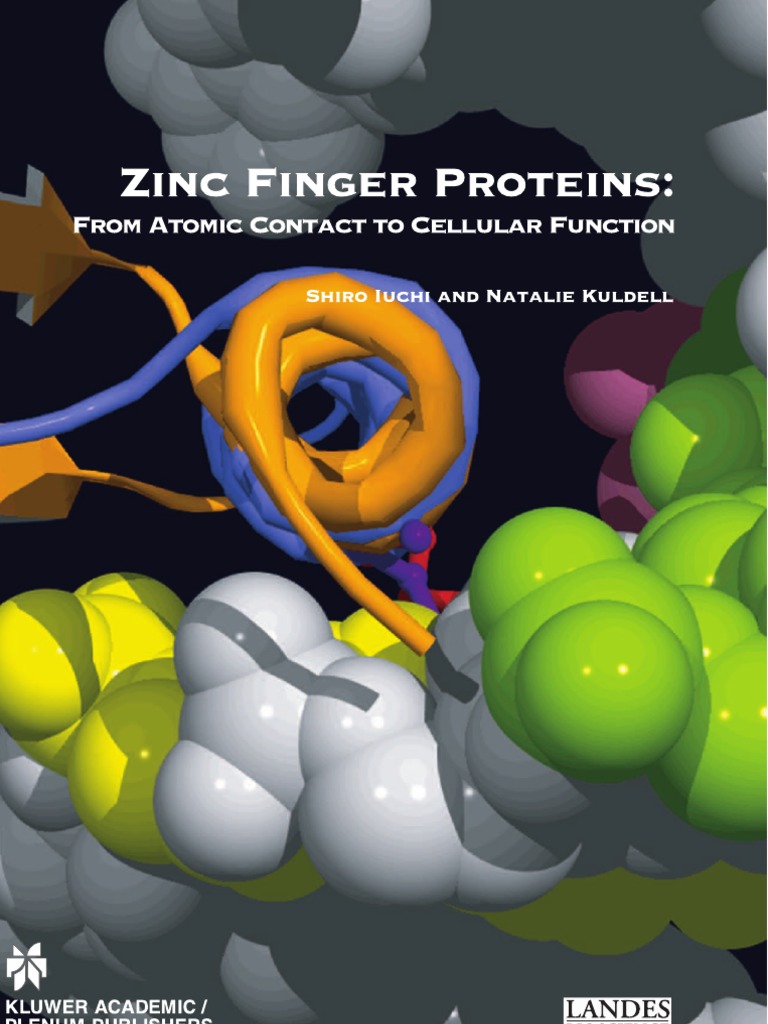 Zinc Finger Proteins From Atomic Contact To Cellular Function | PDF ...