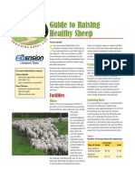 Guide To Raising Healthy Sheep: Facilities