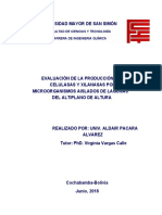 Evaluación de la producción de celulasas y xilanasas por microorganismos halófilos aislados de lagunas del altiplano