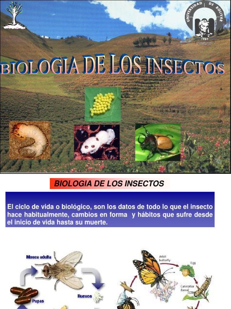 Reproducción y desarrollo de insectos | PDF | Insectos | Interacciones ...