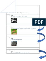 Línea de Tiempo de Los Biomateriales