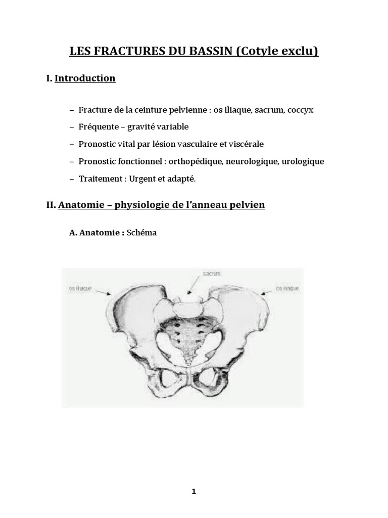 Les Fractures Du Bassin, PDF, Rectum