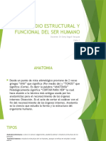 Estudio Estructural Y Funcional Del Ser Humano: Docente: DR Dany Seguil Vasquez Ciclo: I