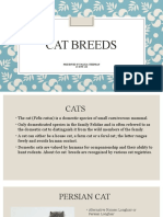 Cat Breeds: Presented by Maria Steephan 14 BVM 138