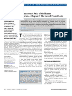 Chapter 2 - The Lateral Frontal Lobe