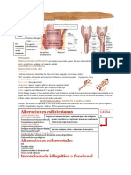 Patologia Anal