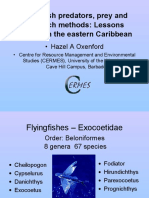 Flyingfish Predators, Prey and Research Methods: Lessons Learned in The Eastern Caribbean