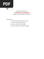 Portafolio Mn