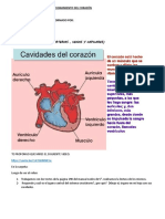 El Sistema Circulatorio El Corazon