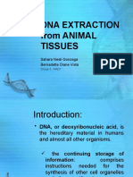 DNA EXTRACTION From ANIMAL TISSUES