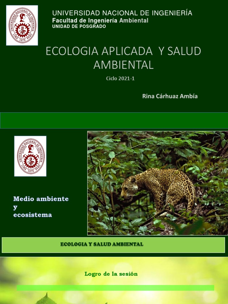 Cuidado del Ecosistema y Medio Ambiente | PDF | Entorno natural | Ecología