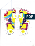 2 - Mapas Reflexologia Podal