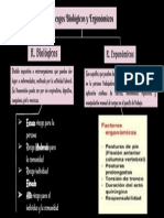 Riesgos Biológicos y Ergonómicos