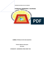 Regiones Del Anatomicas Del Equino