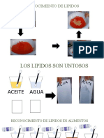 Lipidos