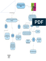 Mapa Conceptual Opinion Publica y Las Relaciones Publicas