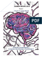 Resumen Neuro A 2019 - Parcial 2