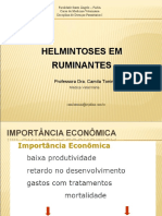 Aula 2. Helmintoses de Ruminantes