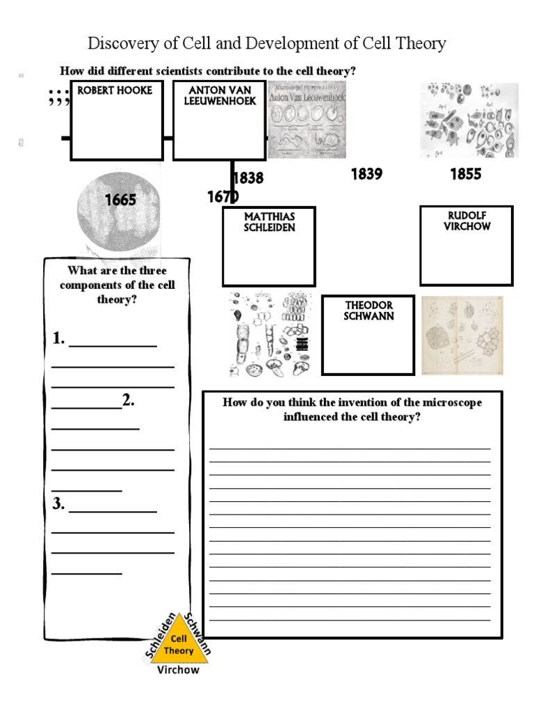 discovery-of-cell-and-development-of-cell-theory-worksheet-pdf