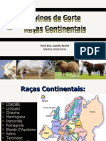 Bovinos-de-corte-raças-continentais