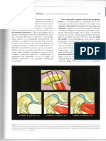 analisis morfofuncional de la musculatura estomatognatica002