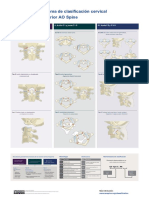 Aos Cervical - En.es