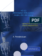 KD 3.2 Anfis Rangka Otot Dan Tulang