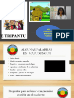 Intro , ABP 3ªAÑO. Pueblos Originarios Hacer Trutruca