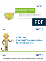 Instructivo IPEVR - Pymes