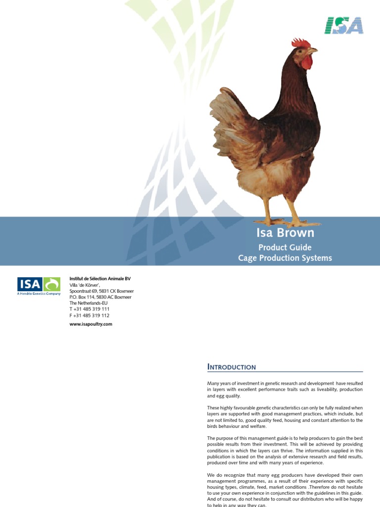 Isa Brown Layer Management Guide | PDF | Birds | Beak