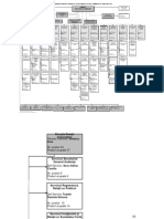 Organigrama PS2 Cu Nume - Actualizat 16.02.2021