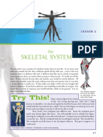 Skeletal System: Try This!