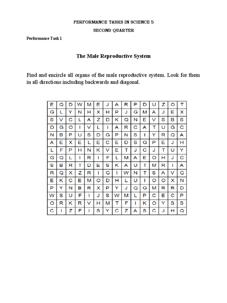 Find and Encircle All Organs of The Male Reproductive System. Look For