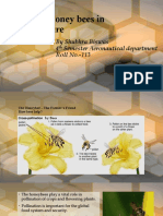 Role of Honey Bees in Agriculture