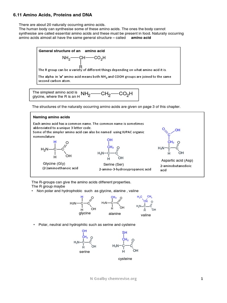 Understanding Amino Acids and Their Properties | PDF | Active Site | Enzyme