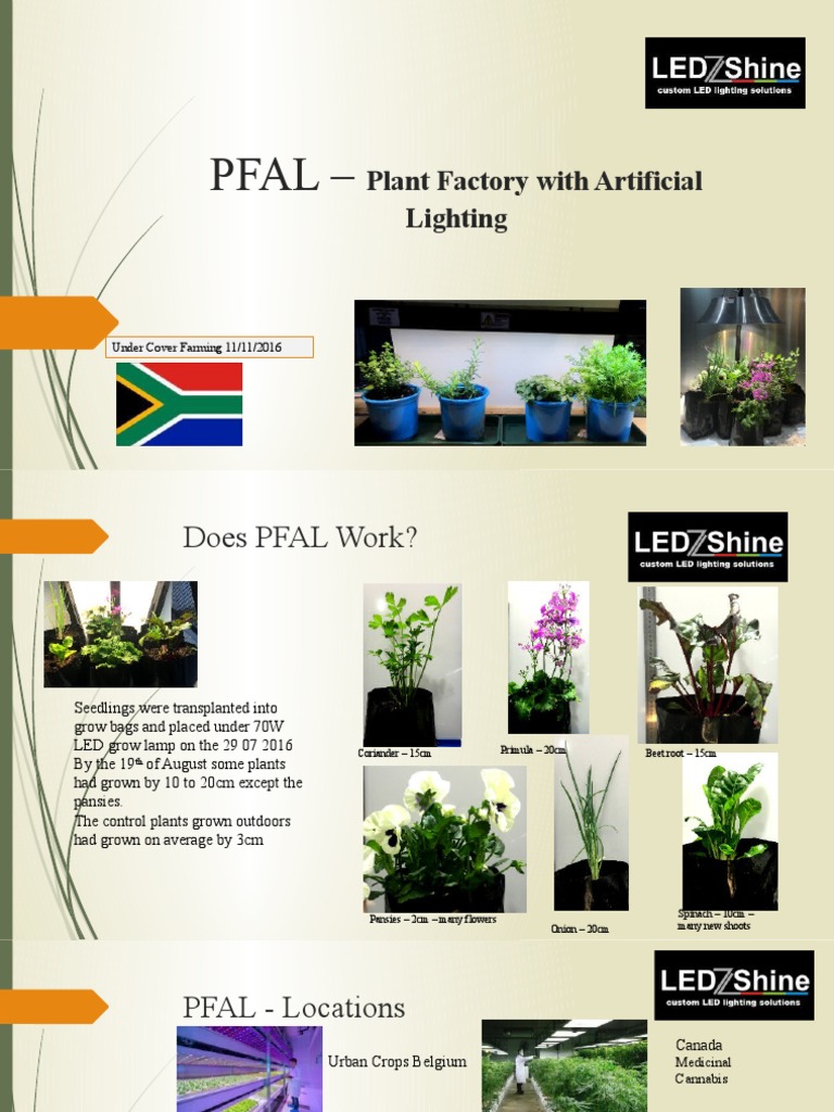 Urban Farming with PFAL | PDF | Vegetables | Plants