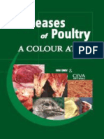 Diseases of Poultry A Colour Atlas