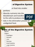 Functions of Digestive System