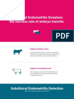 Subclinical Endometritis Threatens The Success Rate of Embryo Transfer