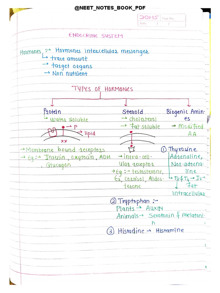 Endocrine System-Handwriting Notes - Watermark | PDF