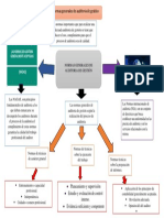 Normas de Auditoria de Gestion