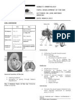 Embryo - Ear