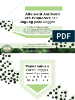 Alternatif Antibiotik Dan Jagung IISPI 2017