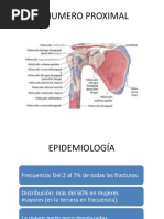 Definición y Función de las Metameras | PDF | Médula espinal | Nervio