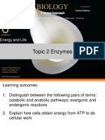 Topic 2 Enzymes