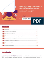 Gerenciamento No Home Office e Resilincia Emocional